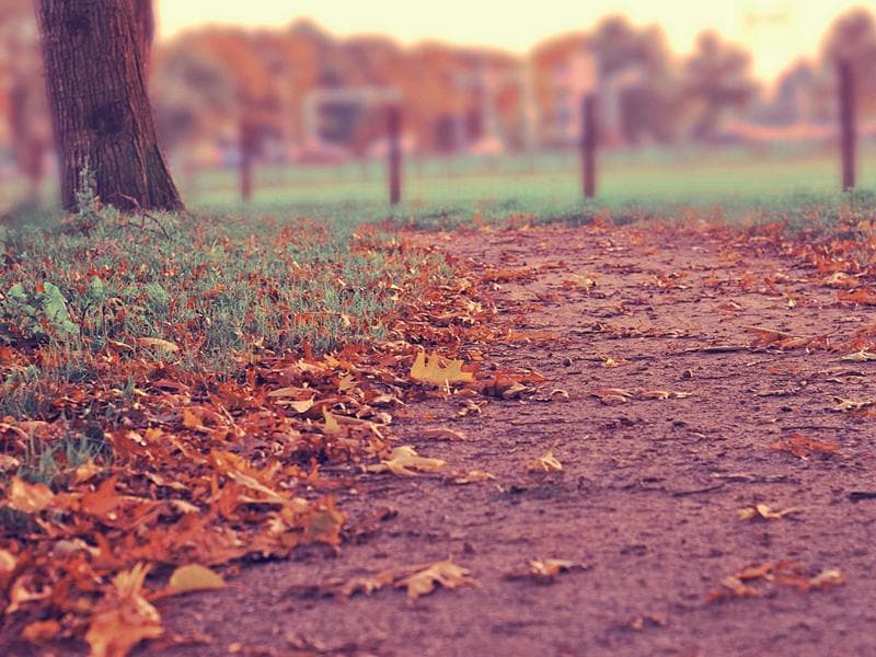 Why Body Positivity Matters in Intimate Wellness